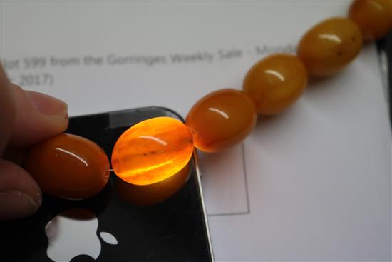 A single strand graduated oval amber bead necklace, gross weight 69 grams, 70cm.
